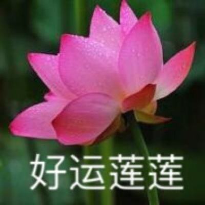fb体育官方网站入口
